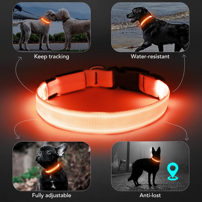 LuxeLight LED Dog Collar